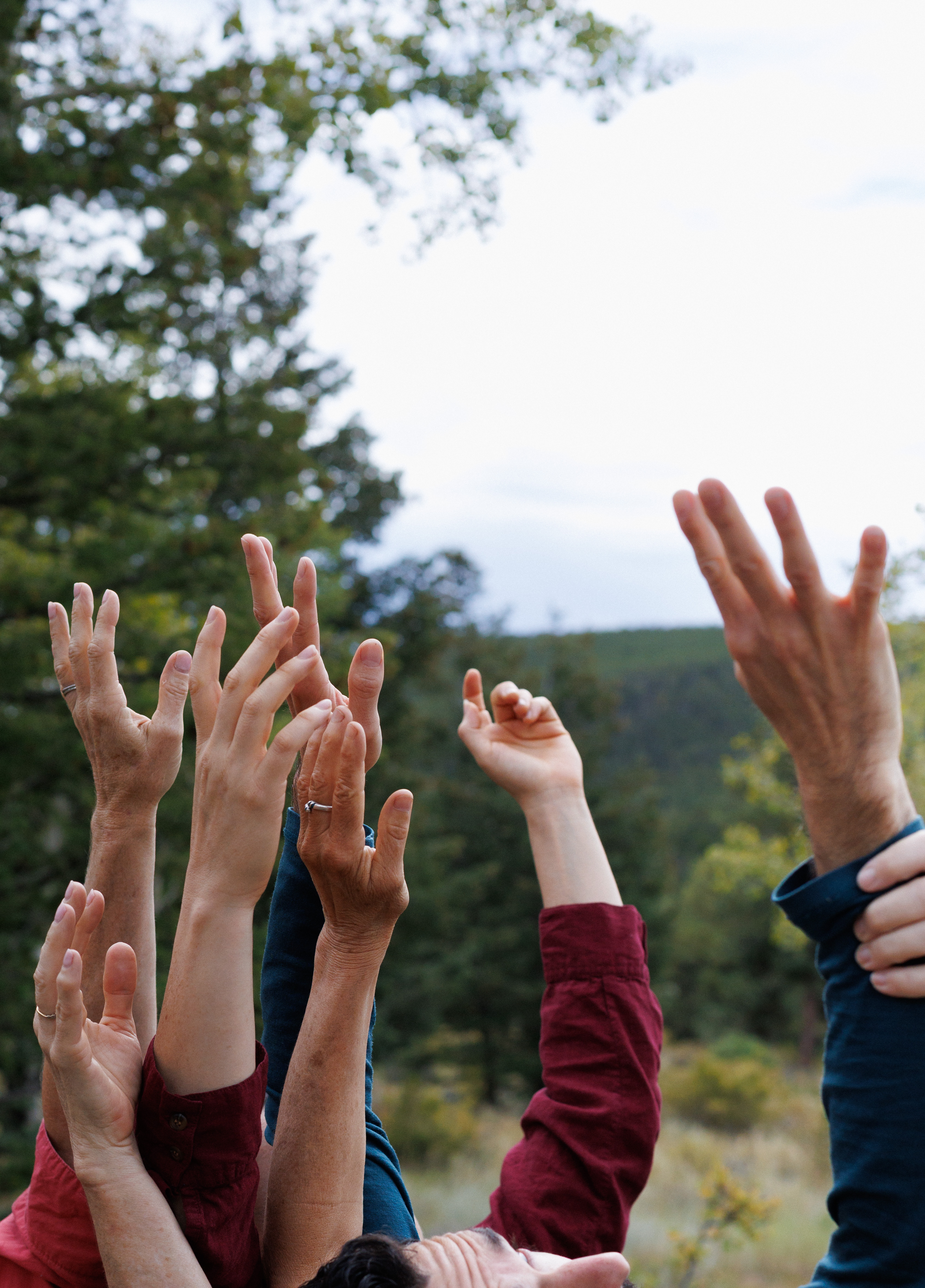Hands reaching up together